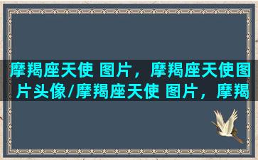 摩羯座天使 图片，摩羯座天使图片头像/摩羯座天使 图片，摩羯座天使图片头像-我的网站